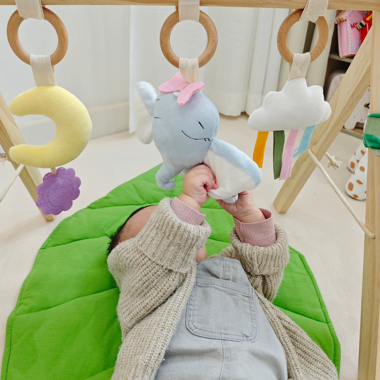 baby play gym and activity mat