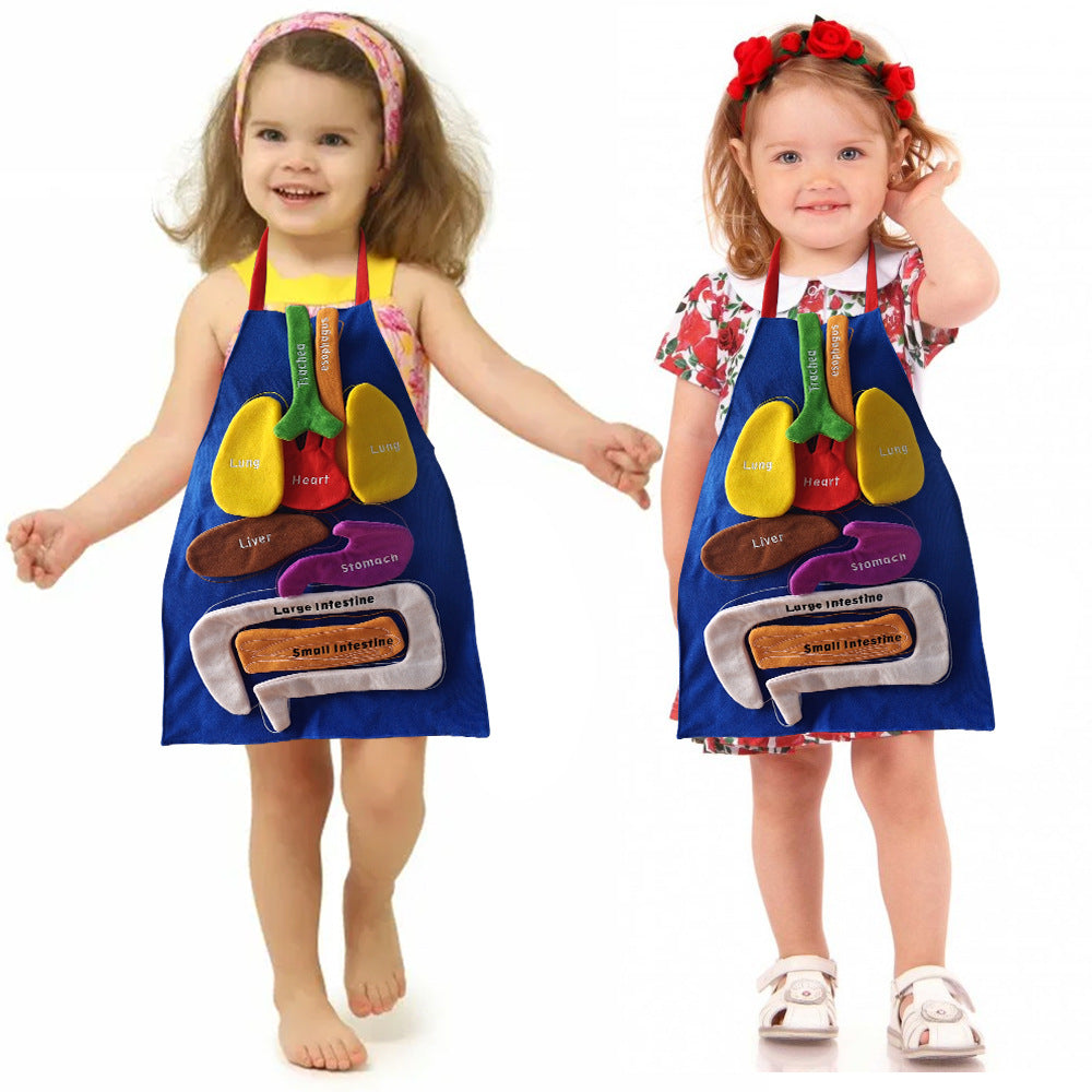 3D Organ Apron, Human Body Organs Apron Awareness Educational Tool Toy for Kids, Anatomy Costume Apron Plush Stuffed Viscera Model Removable for Home Preschool Early Childhood Teaching Aid
